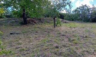 Photo N° 3