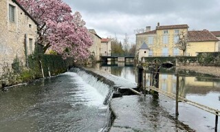 Photo N° 4