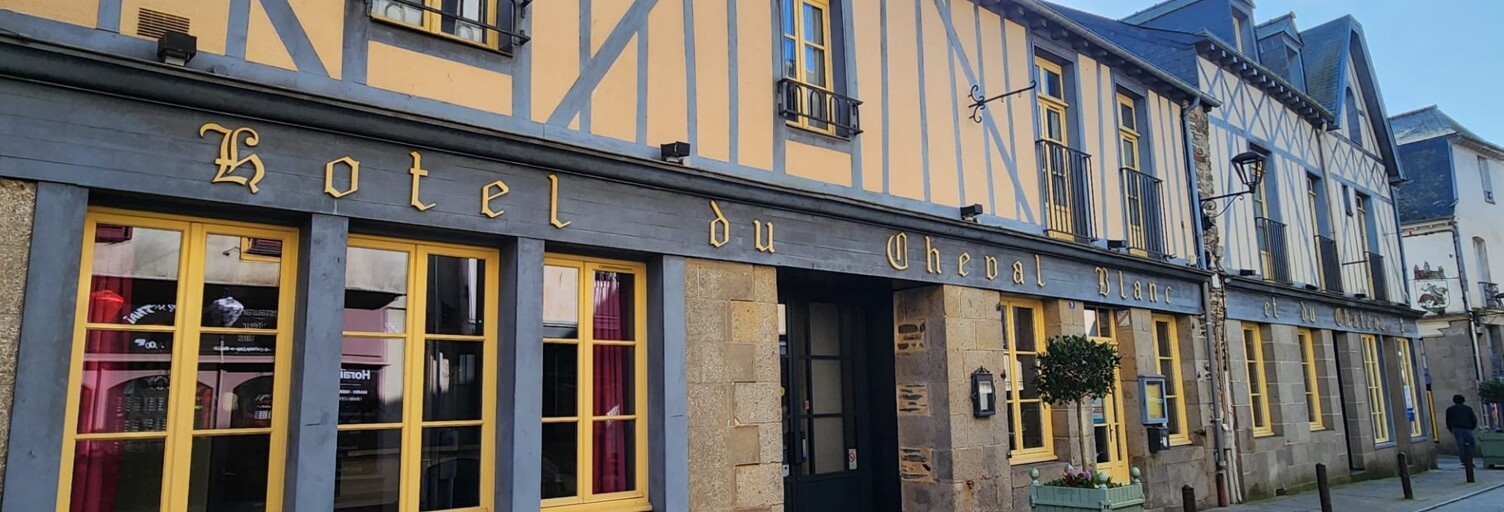 Appartement 1 Pièce 14 m² à vendre à Châteaugiron (35410)