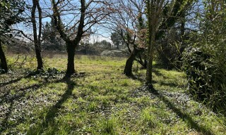 Photo N° 4