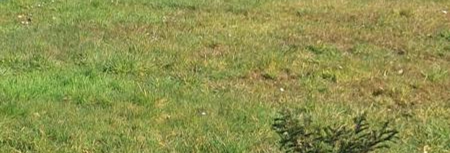 Terrain  1209 m² à vendre à Saint-Jean-de-Braye (45800)