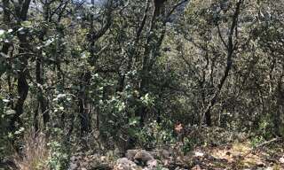 Terrain  11260 m² à vendre à Saint-Bonnet-du-Gard (30210)