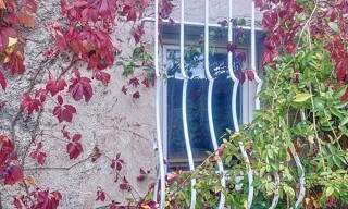 Photo N° 8