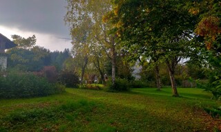 Photo N° 16