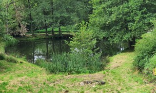 Photo N° 6