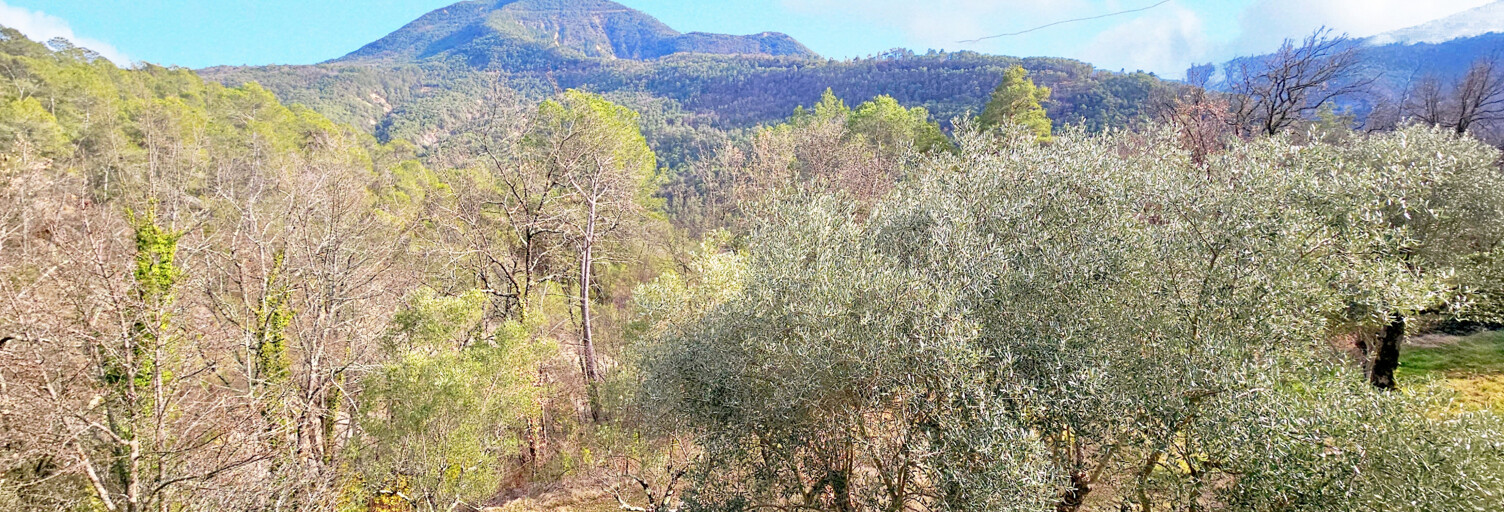 Maison 3 Pièces 65 m² à vendre à Roquestéron (06910)