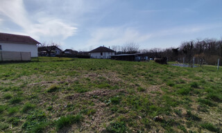 Photo N° 4
