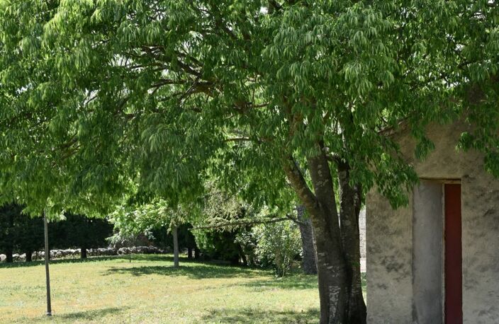 Mazet avec garage sur un terrain constructible de 900 m² — photo 5