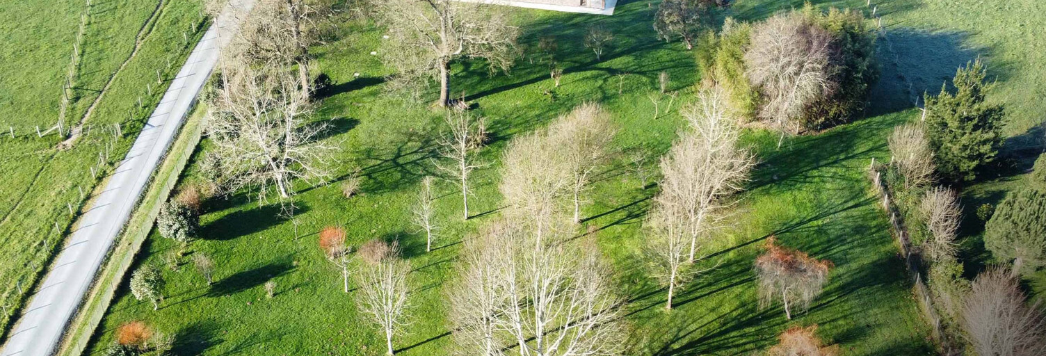 Maison 5 Pièces 203 m² à vendre à Latresne (33360)