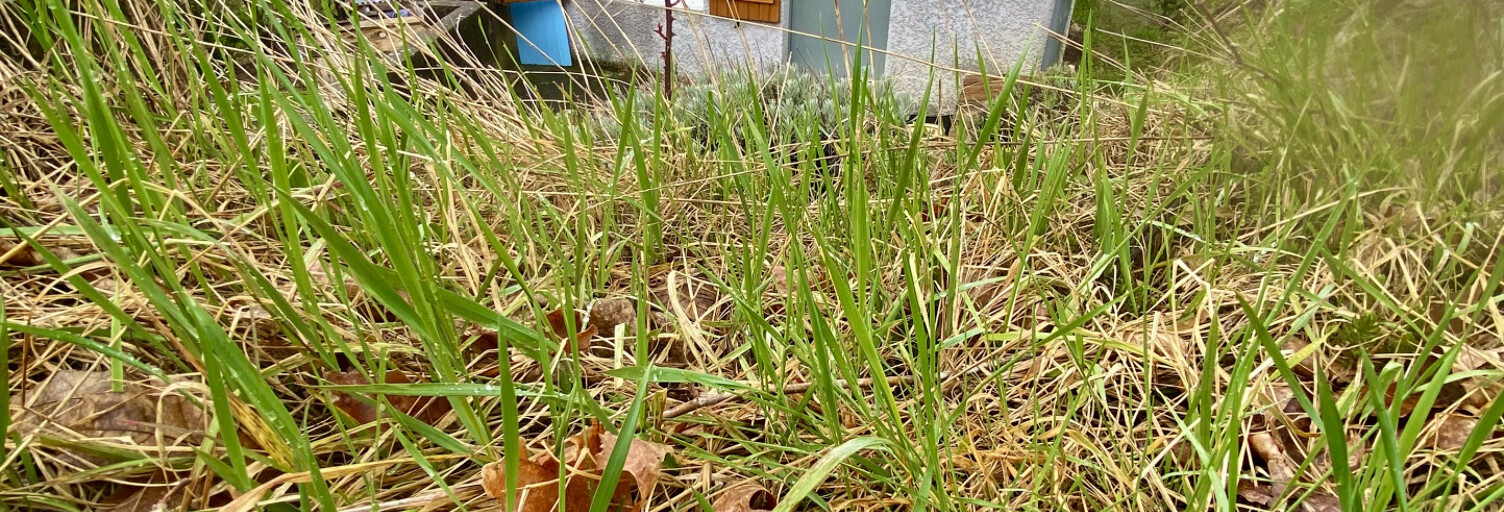 Maison 1 Pièce 22 m² à vendre à Satillieu (07290)