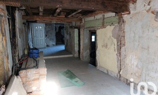 Photo N° 4
