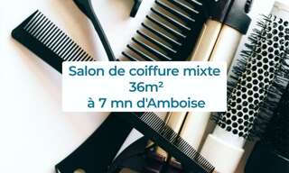 Commerce  36 m² à vendre à Pocé-sur-Cisse (37530)