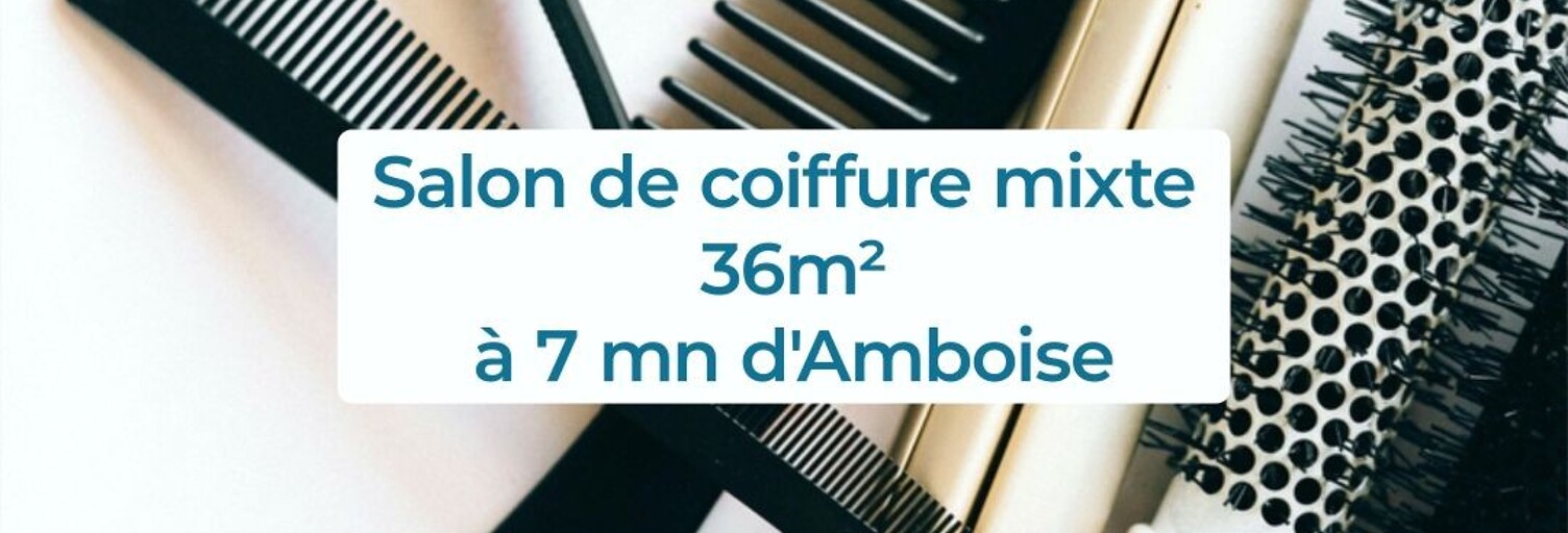 Commerce  36 m² à vendre à Pocé-sur-Cisse (37530)