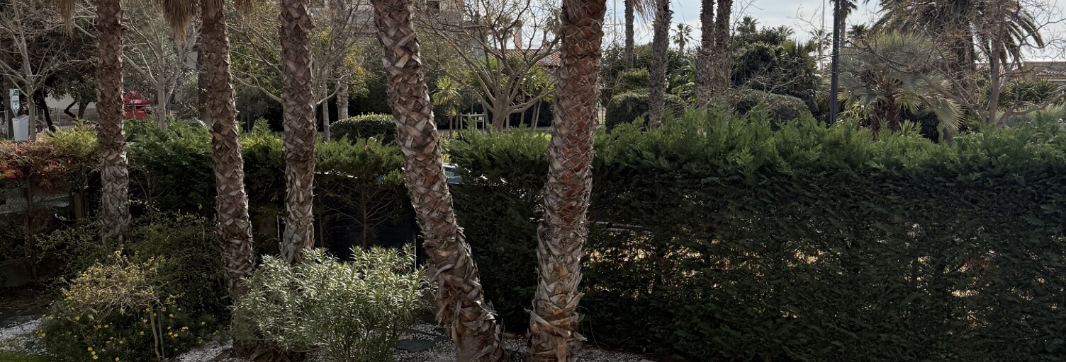 Maison 9 Pièces 320 m² à vendre à Six-Fours-les-Plages (83140)