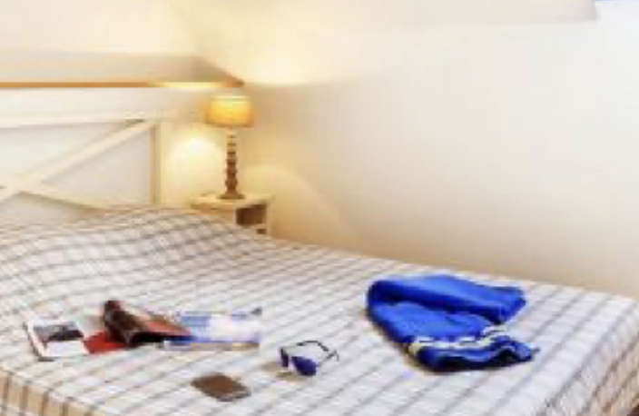 Opportunité d'Investissement en LMNP sous Bail Commercial - — photo 2
