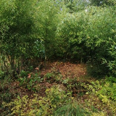 Terrain  115000 €