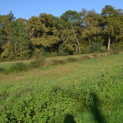 Terrain  180000 €