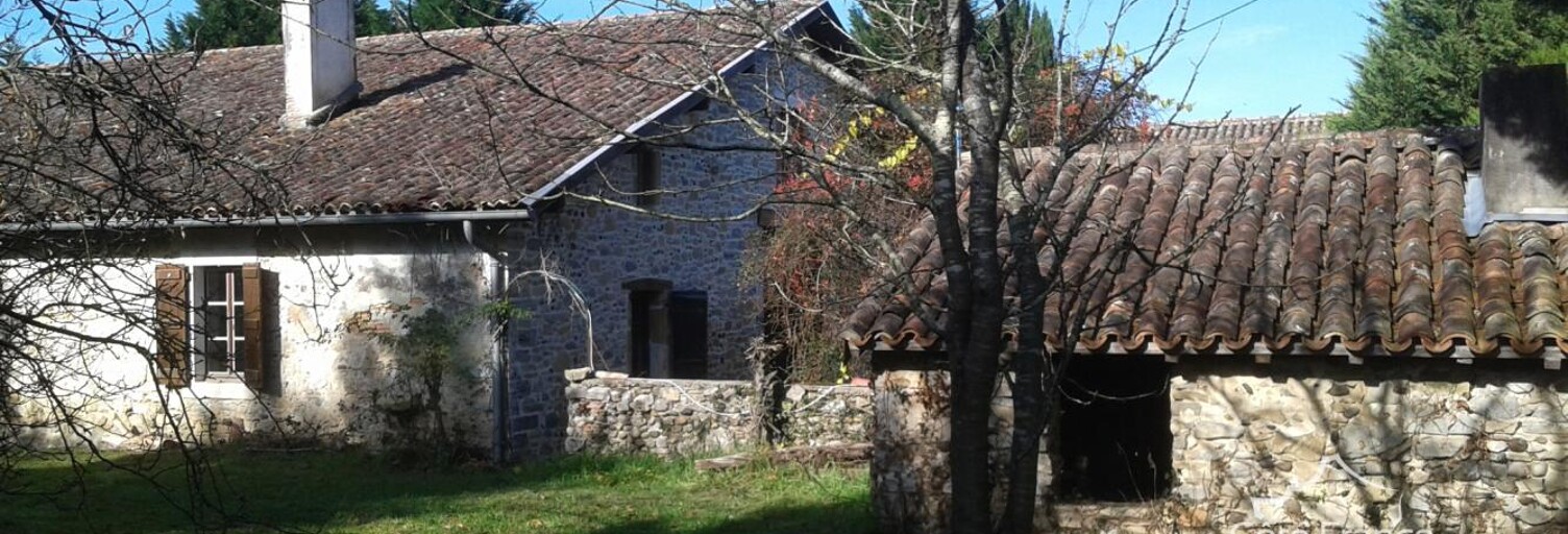 Maison 11 Pièces 387 m² à vendre à Saint-Étienne-d'Orthe (40300)