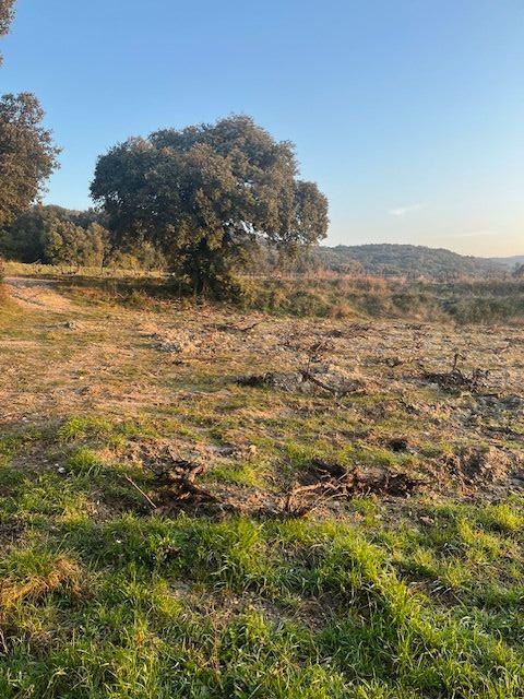 Castillon du Gard . Terrain À Vendre 2000m2 agricole non cons...