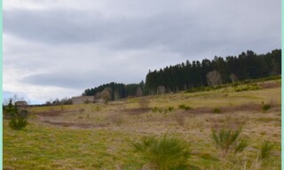 Terrain  1074 m² à vendre à Dunières (43220)