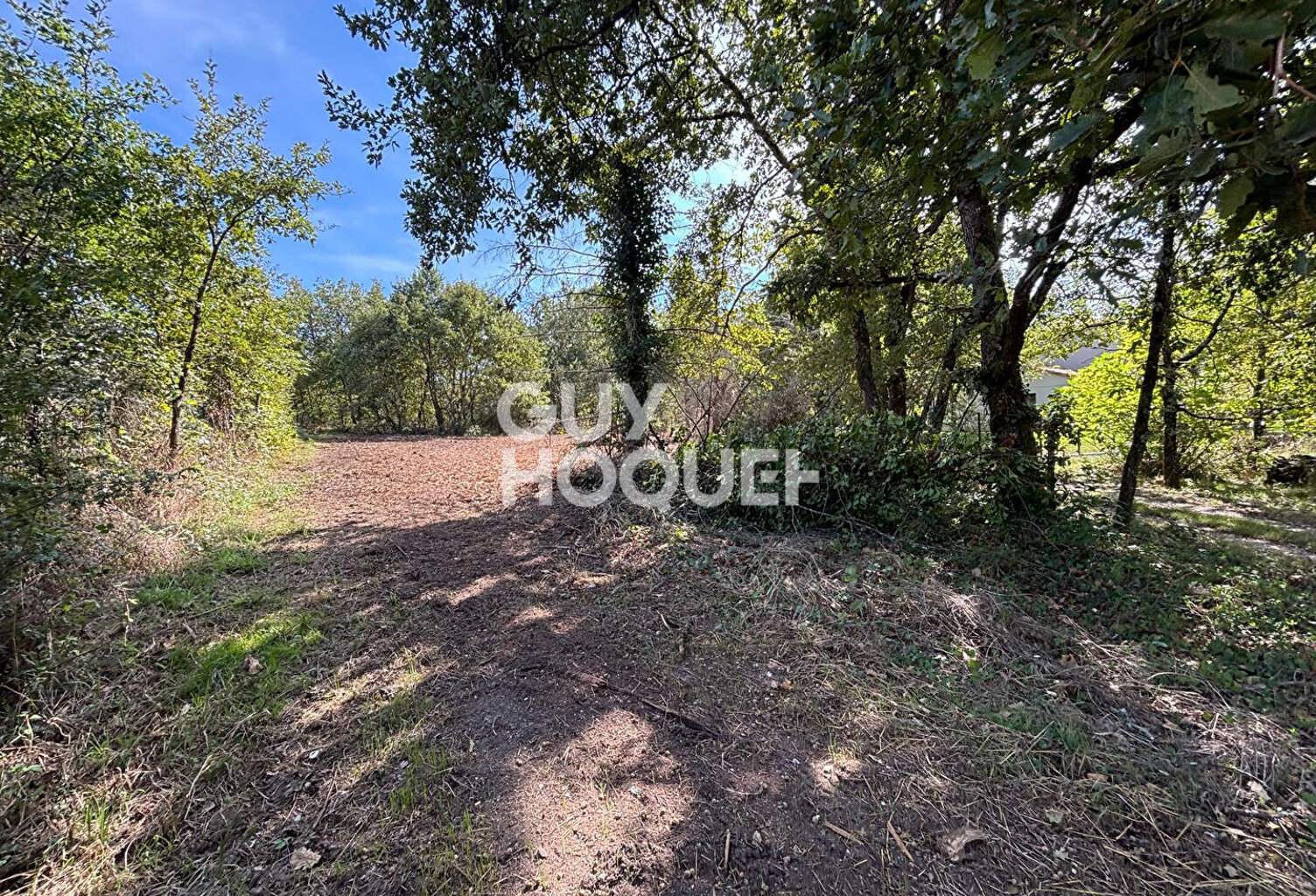 terrain — photo 1