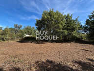 terrain — photo 2