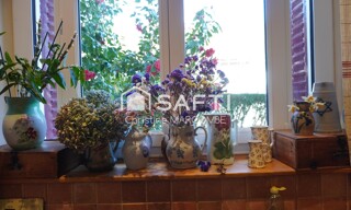 Photo N° 8