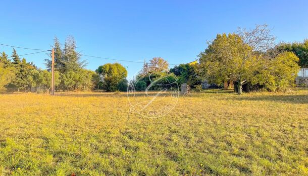 Terrain  à vendre Régusse 83630