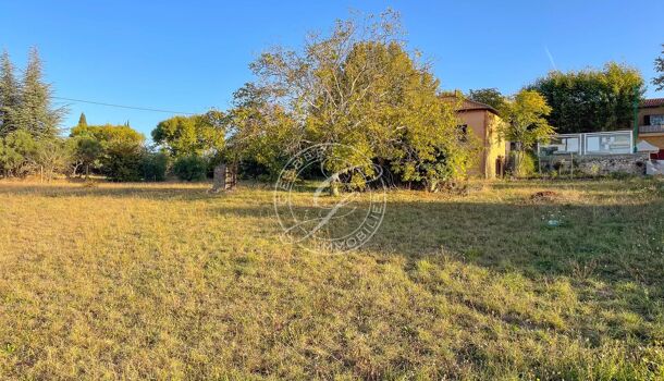 Terrain  à vendre Régusse 83630