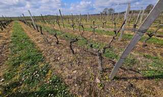 Terrain  58343 m² à vendre à Ordonnac (33340)