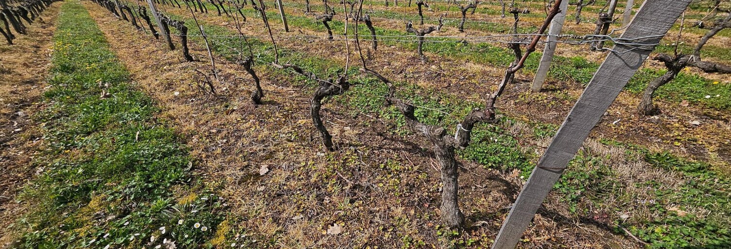 Terrain  58343 m² à vendre à Ordonnac (33340)