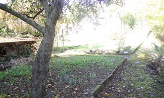 Photo N° 5