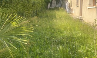 Photo N° 4