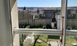 Photo N° 16