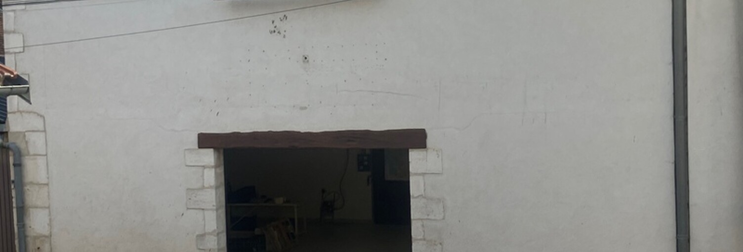 Commerce  400 m² à vendre à Chablis (89800)