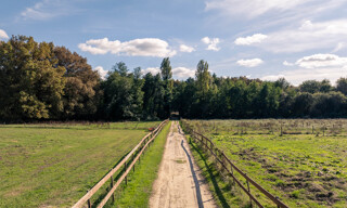 Photo N° 3
