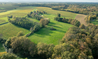 Photo N° 3
