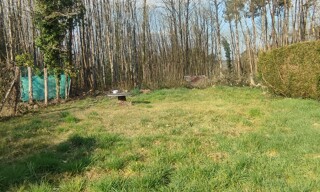 Photo N° 6