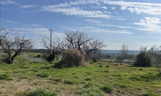 Photo N° 6