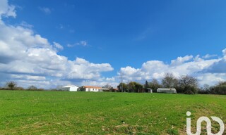 Photo N° 4