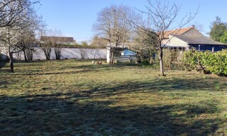 Photo N° 4