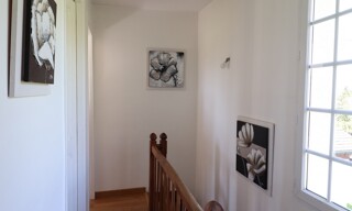 Photo N° 16