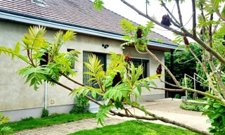 Maison 7 Pièces 220 m² à vendre à La Chomette (43230)