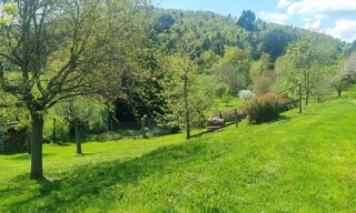 Photo N° 16