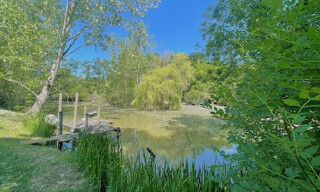 Maison 8 Pièces 200 m² à vendre à Bazas (33430)