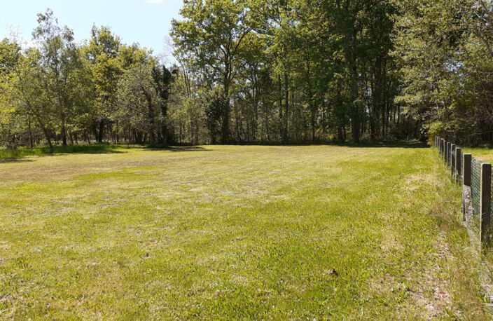 PLAIN PIED - 1hectare(ha) -  DEPENDANCES - Gironde (33) - Aq — photo 4