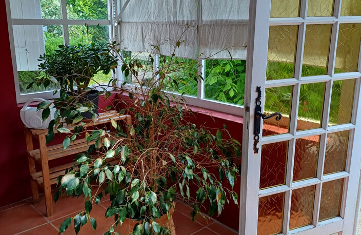 Proche Bazas - maison en pierre 4 chambres - GIRONDE (33) - — photo 3