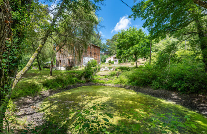 HAUTE LANDE PROPRIETE MOULIN et LANDAISE 11 CHAMBRES - GITE — photo 2
