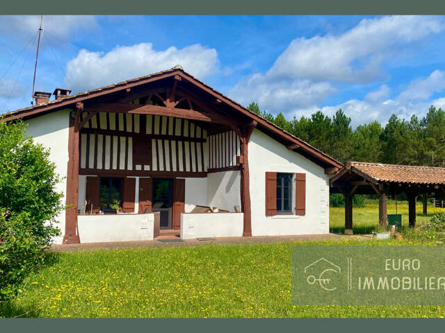 LANDAISE COLOMBAGES 2HA GITE - LANDES (40) - NOUVELLE AQUITA — photo du bien