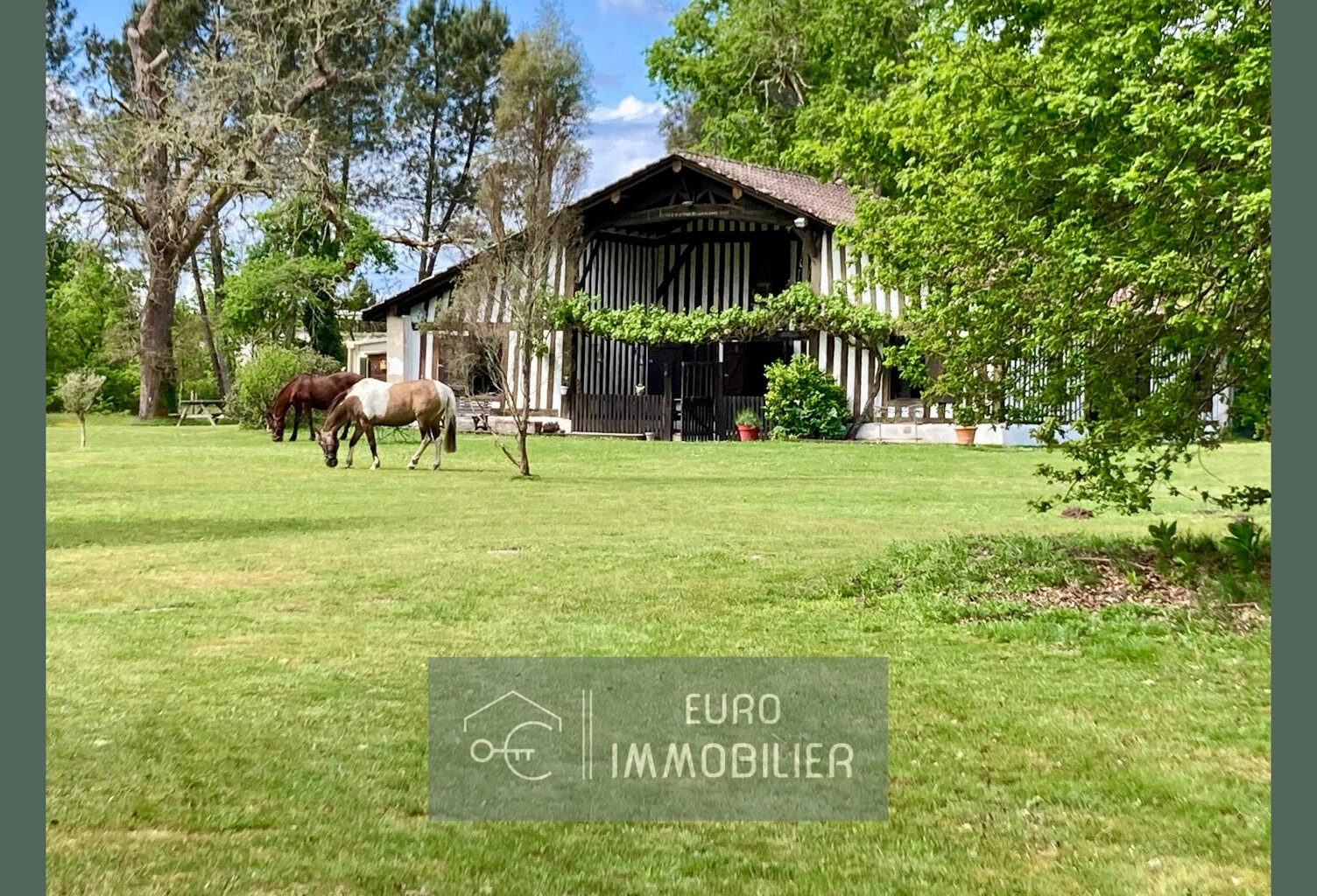 LANDAISE AUTHENTIQUE - COLOMBAGES - GITE - 7HA - PISCINE - — photo 1